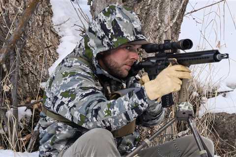 Coyote Hunting Gear: Everything You Need to Get Started