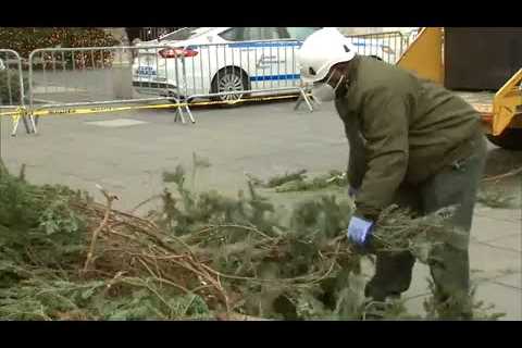 How NYC residents can ‘tree-cycle’ their Christmas trees for free