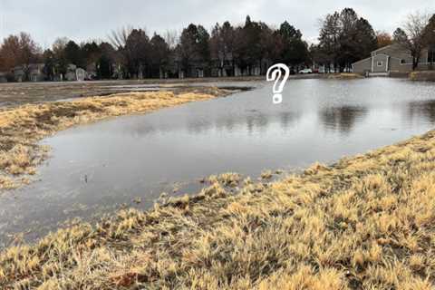 Where is Carson Cassie? Carson City’s favorite pond monster is missing | Carson City Nevada News