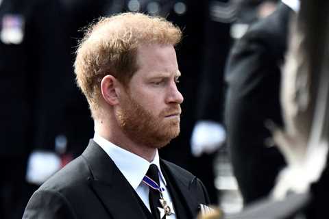 Will Prince Harry return to the UK without Meghan Markle for the New Year?  |  world news