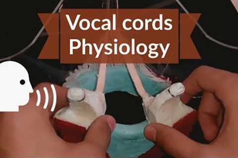 Movement of Vocal Cords | Phonation physiology