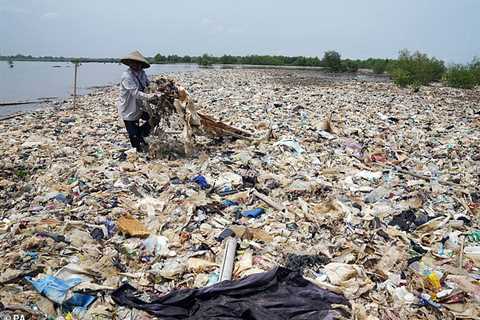 FINALLY: Ministers will prohibit the single-use plastic that’s eliminating our wildlife by the end..