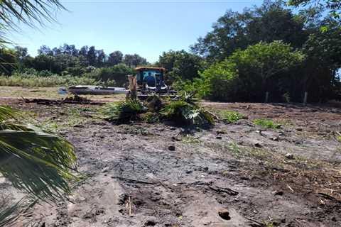 Cost of turning old Florida tree farm into a discount store is too high