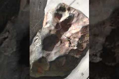 Man Uses Rock As Doorstep For Years Until He Realises The Truth #shorts