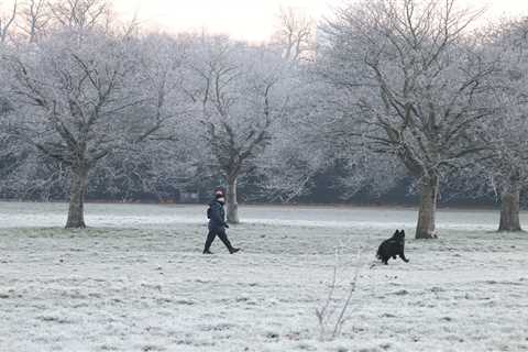 Exact time urgent health weather warning hits UK as temperatures plunge to -3C