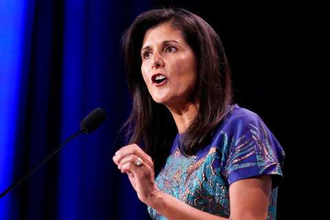 An ex-Romney presidential campaign strategist says Nikki Haley 'embodies the collapse' of the..