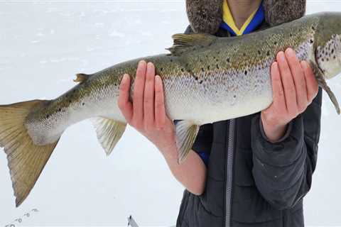 Mainer Catches Atlantic Salmon Through the Ice