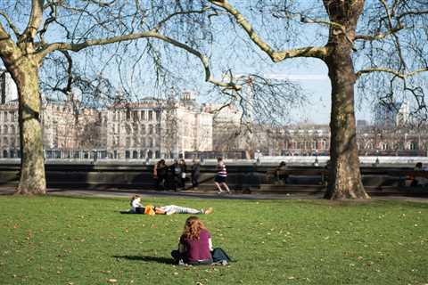 UK weather forecast: Brits to enjoy warm conditions with spells of glorious sunshine as February..