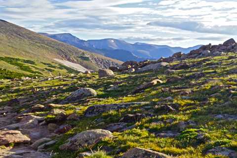 Fossil fuel drilling threatens air and wildlife in national parks, advocacy group finds ⋆