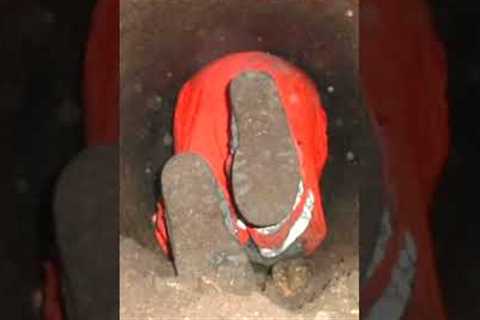 Workers Heard Noises Coming From Underground Pipe But Couldn't Believe What They Found #shorts