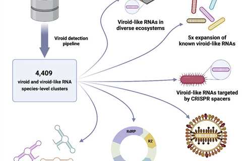 Researchers uncover the diversity of viroids and viroid-like agents