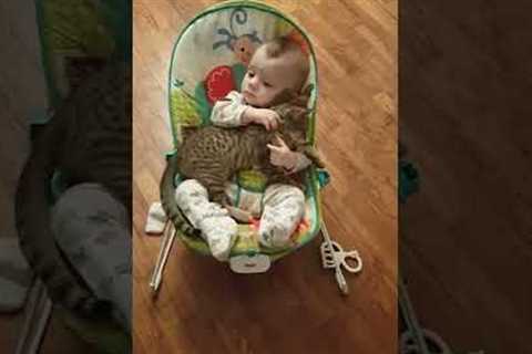 Baby loves his kitten 'best friend'