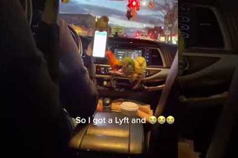 Her Lyft ride had partying parrots 😂