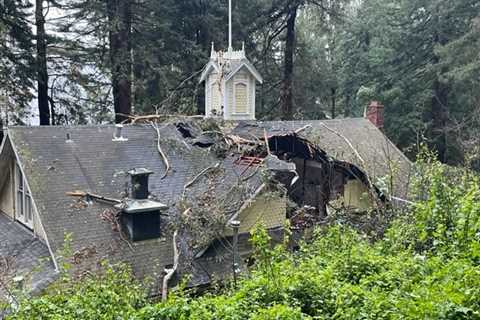 Historical San Francisco landmark severely damaged by falling tree