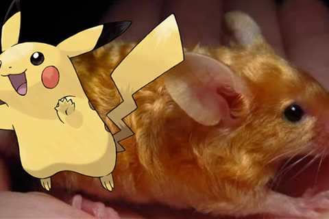 5 Pokémon which are primarily based on the strangest real-life animals