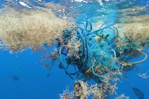 171 trillion pieces of plastic drifting in the oceans as contamination reaches ‘unmatched’ levels,..