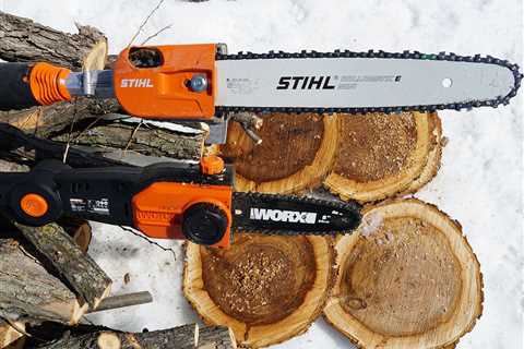 The Best Pole Saws of 2023, Tested and Reviewed