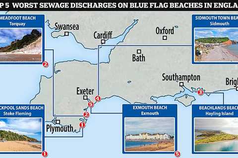 Analysis shows water companies dumped sewage on Blue Flag beaches 1,504 times last year