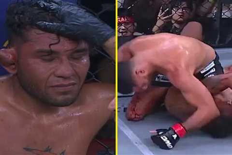 Watch Ultimate Warrior Challenge fighter lose after ear explodes during MMA title bout in Mexico