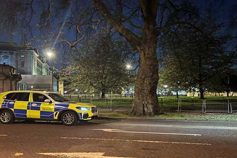 Man arrested outside Buckingham Palace with suspected weapon