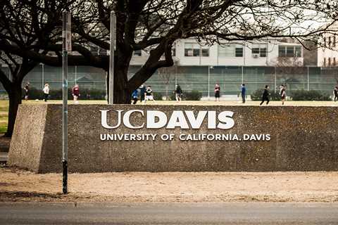 UC Davis students carry rocks and knives as killer still at large