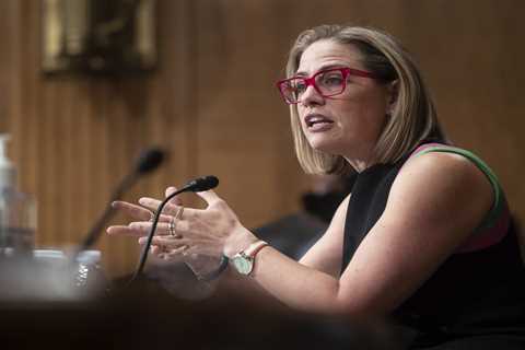 Sinema and Tillis pitch two-year border patch as Trump-era policy expires