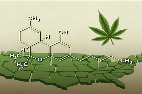 Marihuana legal es más potente que nunca pero no está bien regulada