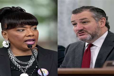 Ted Cruz said Martin Luther King Jr. would be 'ashamed' of the NAACP's Florida travel warning...