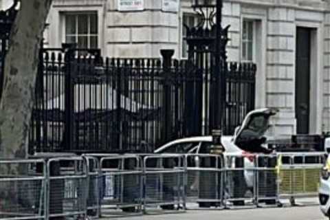 Westminster incident: Car smashes into Downing Street gates sparking huge police presence