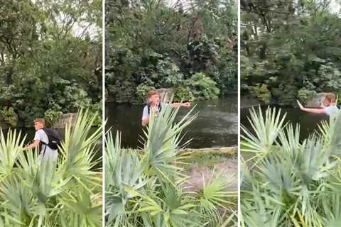 Man jumps into Busch Gardens’ alligator exhibit in Florida: See the video