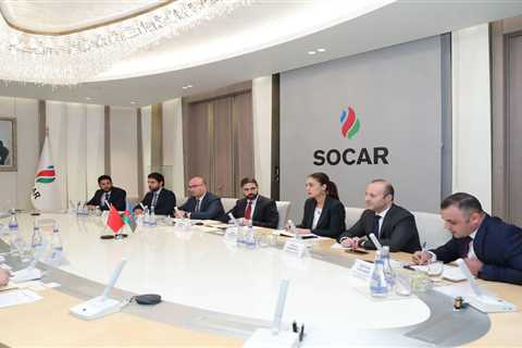 SOCAR, Energy China International discuss development of renewable energy projects (PHOTO)