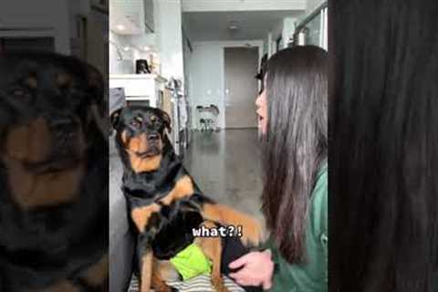 Woman tells her dog Emma a huge secret