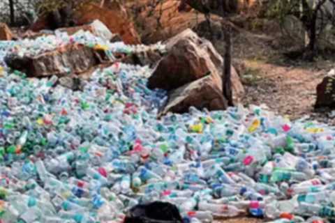 Plastic restrictions have actually raised awareness, however harder enforcement is required | ..