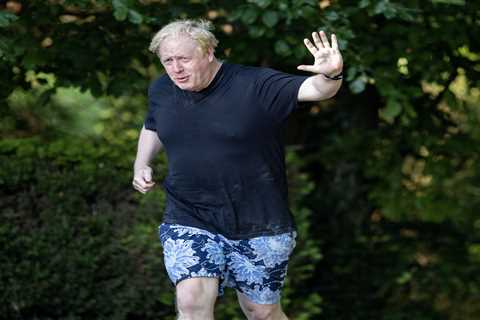 Boris Johnson ‘calls off the dogs’ and urges his supporters not to vote against banning him from..