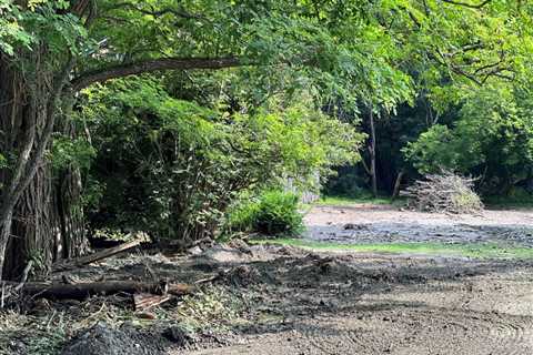 New Lebanon community continues clean-up efforts