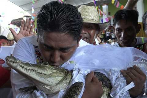 Mexican Mayor Gets Married To Crocodile To Bring Fortune To His People