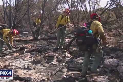 Firefighters back working Palo Pinto County wildfire after it rekindled