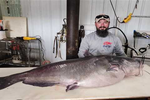 This Man’s Pending State-Record Blue Catfish Could Be the Same Record Fish He Caught Last Year