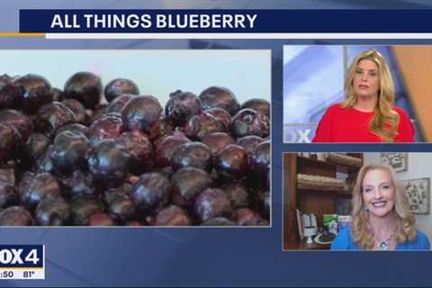 The Benefits of Blueberries