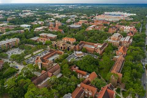 United Faculty of Florida union pushes back on DeSantis’ latest battle against diversity..