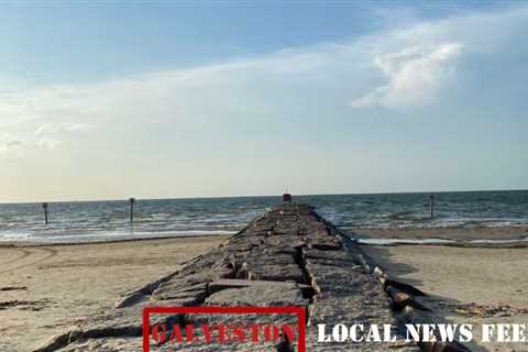 Houston man records large hammerhead shark swimming in shallow water in Galveston County