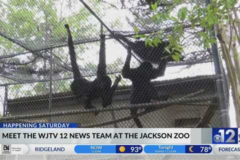 Ice Cream Safari to be held at Jackson Zoo on Saturday