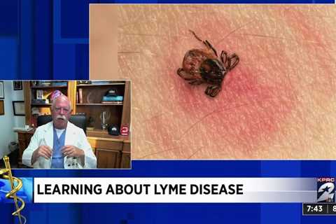 Here’s what you need to know about Lyme Disease