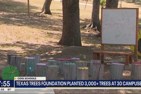 Group plants trees to create cooler school campuses