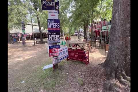 Focused on Mississippi: Neshoba County Fair flowers