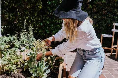 Container Gardening for Rookies: 8 Crops to Develop