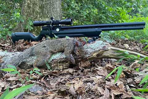 Best Air Rifles for Squirrels of 2023