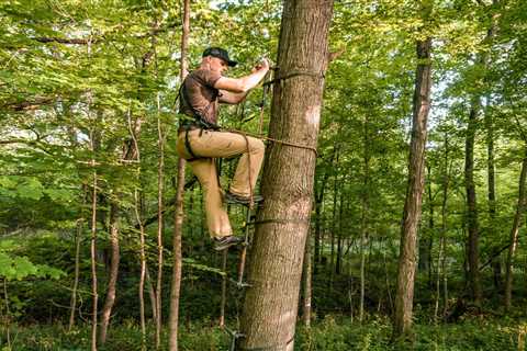 The Best Climbing Sticks of 2023