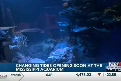 New exhibit “Changing Tides” coming soon to Mississippi Aquarium