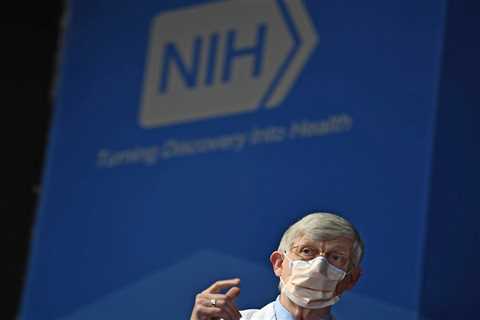 The NIH Ices a Research Project. Is It Self-Censorship?